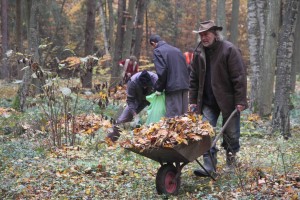 Żuławka. Porządki i znicze na leśnym cmentarzu